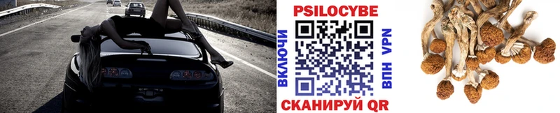 Псилоцибиновые грибы Cubensis  Рыбное 