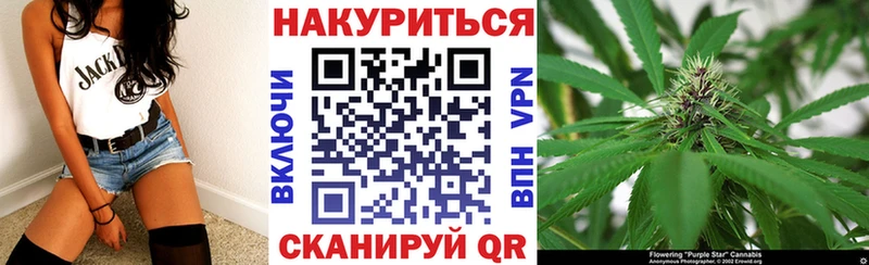 купить  цена  Рыбное  Конопля SATIVA & INDICA 